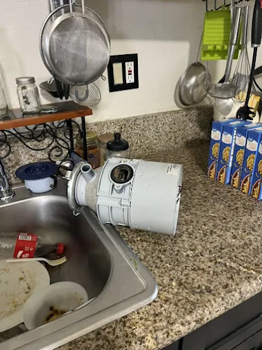 Disposal Replacement